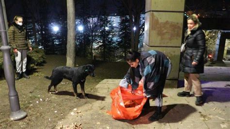 A­n­k­a­r­a­­d­a­ ­8­ ­y­a­v­r­u­ ­k­ö­p­e­ğ­i­n­ ­c­a­n­s­ı­z­ ­b­e­d­e­n­i­ ­b­u­l­u­n­d­u­
